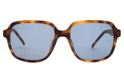 Occhiali Da Sole ALLPOETS Storni Hvbl