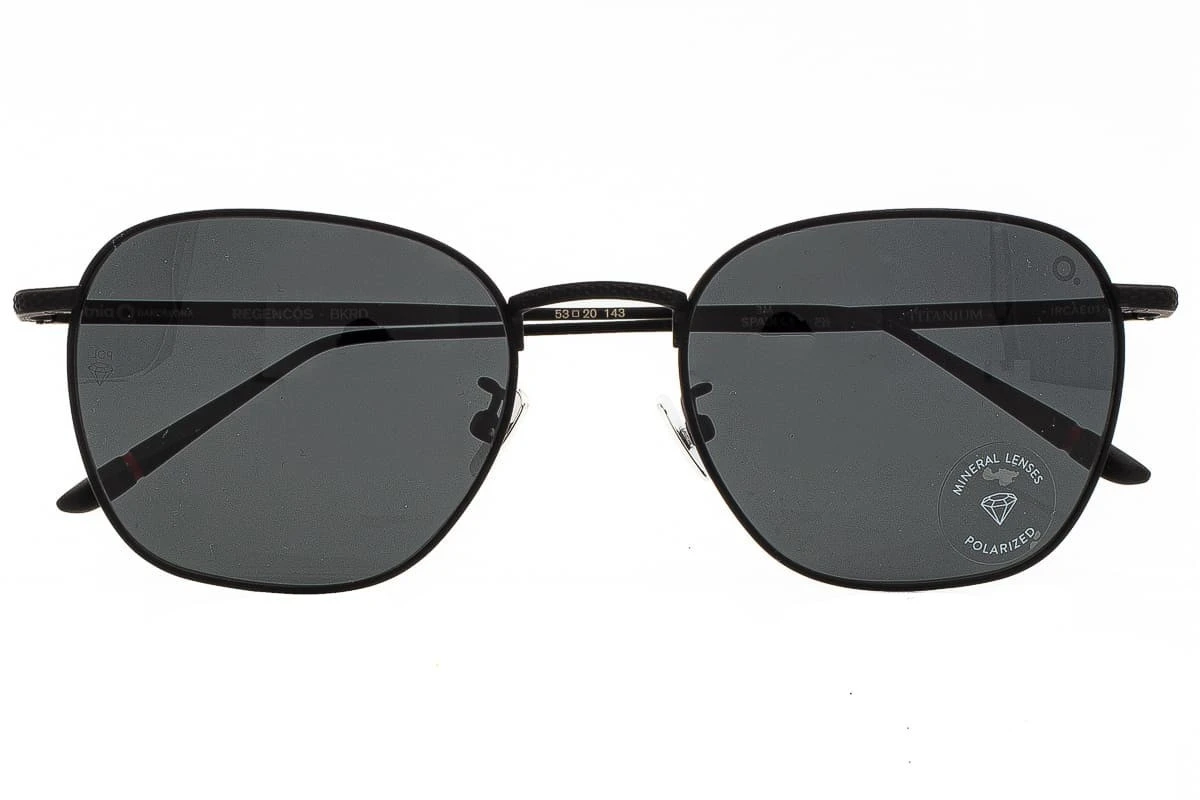 Occhiali Da Sole ETNIA BARCELONA Regencòs Bkrd Titanium Polarizzati 3 Occhiali Da Sole ETNIA BARCELONA Regencòs Bkrd Titanium Polarizzati